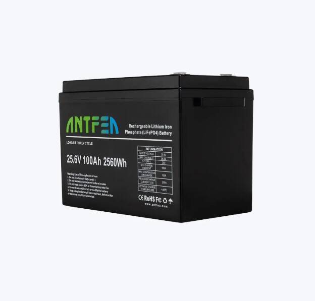 Antfea 25.6V 100Ah ABS Lityum Akü LiFePo4 - 1