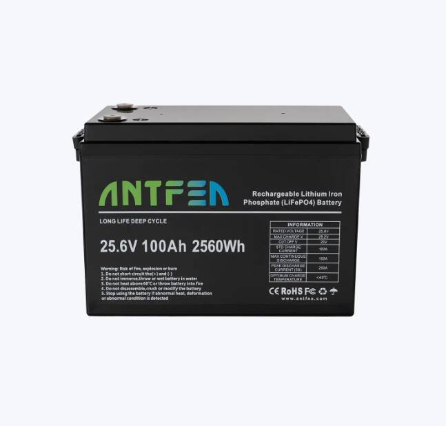 Antfea 25.6V 100Ah ABS Lityum Akü LiFePo4 - 2