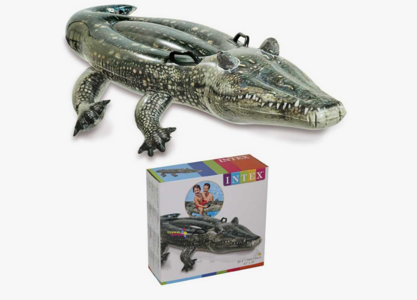 Intex 57551 Gerçekçi Timsah 170 cm - 1