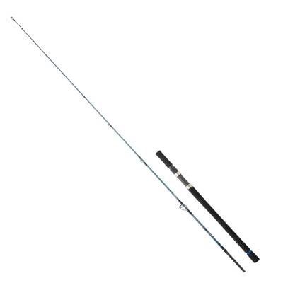 Daiwa Grandwave SJ 198 Cm Max. 180 Gr 2 Parça Jigging Kamışı - Daiwa