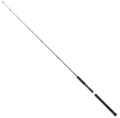 Daiwa Legalis O BF JG 173 Cm 100-300 Gr Jig Kamışı - 1