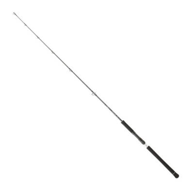Daiwa Legalis O BF JG 173 Cm 100-300 Gr Jig Kamışı - Daiwa