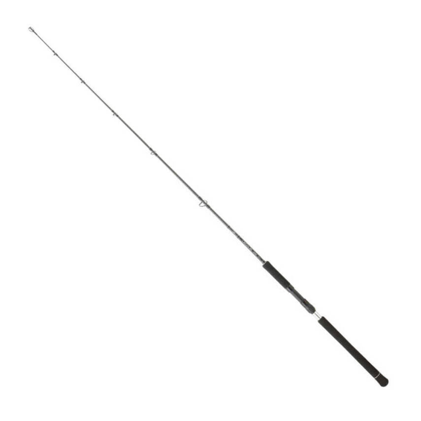 Daiwa Legalis O BF JG 173 Cm 100-300 Gr Jig Kamışı - 2