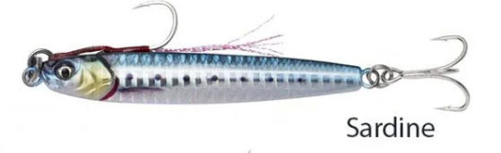 Savage gear 3D Jig Minnow 10 gr 5,9 cm Sardine - 3