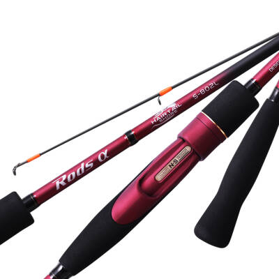 NS Black Hole Rods Alpha Hairtail 244 Cm 3-20 Gr Lrf Kamışı - 2