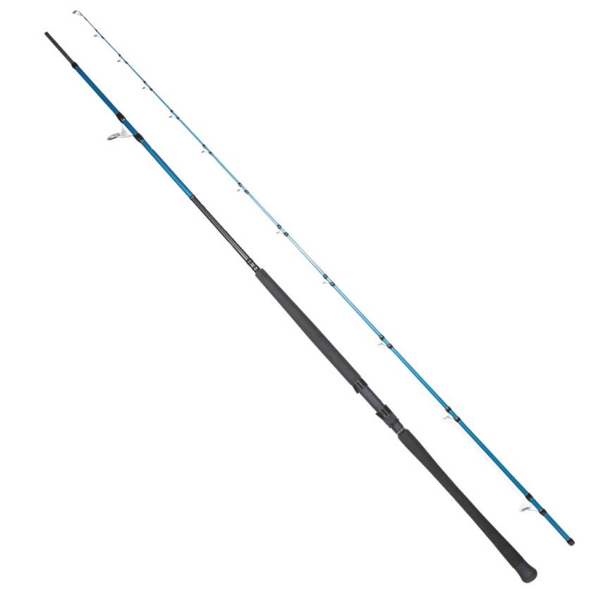 Ryuji Shore Game Fuji KW 295 Cm 30-100 Gr Shore Jig Kamışı - 3