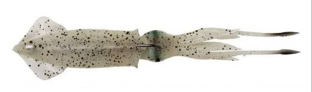 Savage gear 3D TPE Swim Squid 125mm 25g 2 Adet Suni Yem - 4