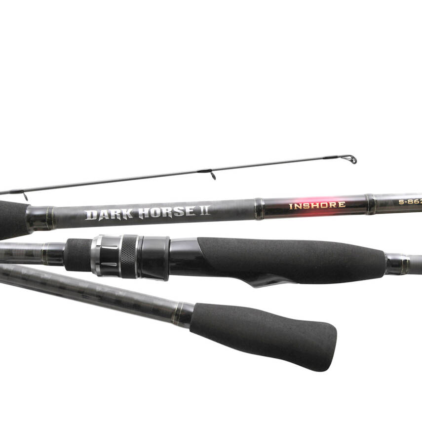 NS Black Hole Dark Horse II 289 Cm 10-36 Gr Spin Olta Kamışı - 3