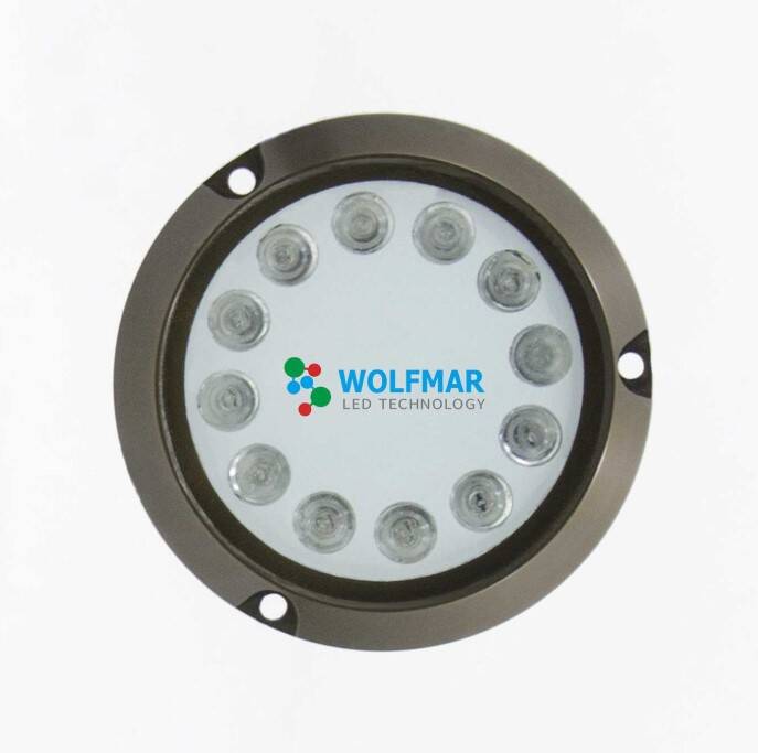 WM S12 W 12 LEDLİ 9-30 SU ALTI AYDINLATMA ALİMÜNYUM MAVİ - 2