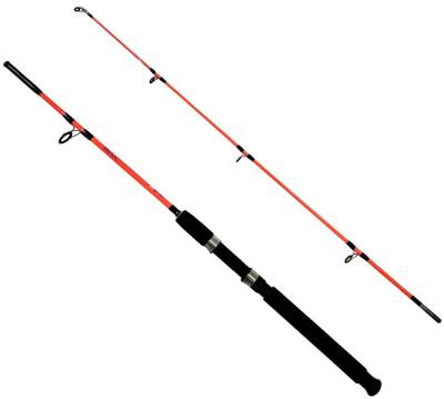 Kendo Holiday Boat 1,80 m 100-250 g 2 Parça Bot Kamışı - 
